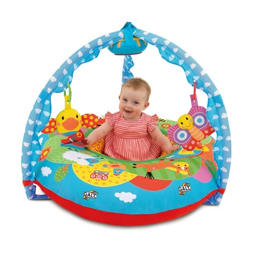 Galt Toys, Playnest and Gym - Farm, Sit Me Up Baby Seat, Ages 0 Months Plus