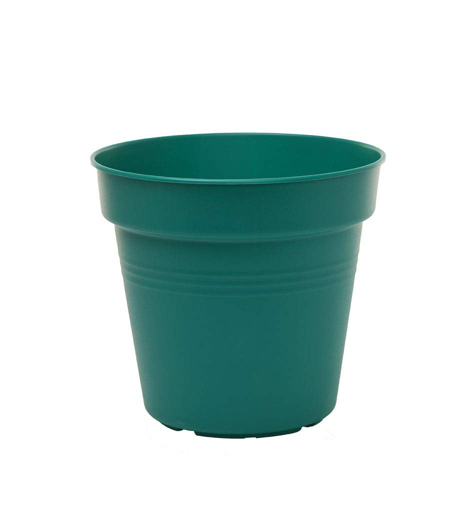 Mintra Garden Pots, 4 Pack Bulk Plastic Plant Pots with Drainage Tray, Round Indoor & Outdoor Decorative Planters with Drain Holes for Flowers, Herbs & Plants, 17cm Diameter – Forest Green, 6.6 in