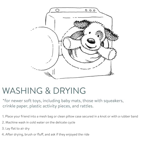 Taggies Touch & Feel Soft Cloth Book with Crinkle Paper and Squeaker, Buddy Dog