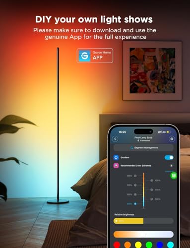 Govee LED Floor Lamp, RGBIC Modern Corner Lamp, Smart Standing Lamp with 61 Scene Modes,Music Sync, Black Corner Floor Lamp for Living Room, Bedroom