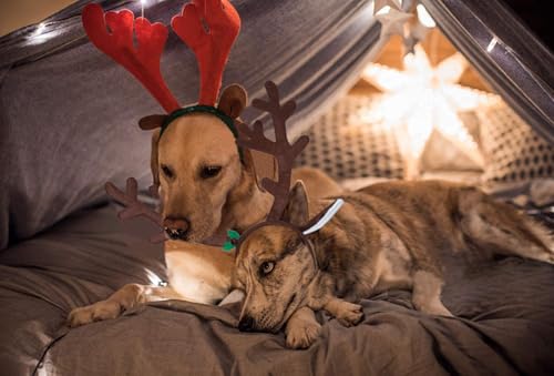 BWOGUE Dog Christmas Elk Reindeer Antlers Headbands Set Pet Christmas Costume Accessories Headwear for Medium Large Dogs