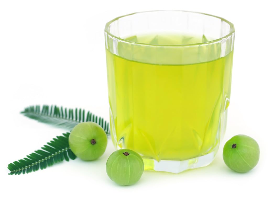 10 Indian Gooseberry Seeds (Phyllanthus Emblica), Amla Tree Seeds for Planting, High Germination Emblic Emblic Edible Fruit Tree Seeds, Nutrient-Rich Superfruit for Home Garden, Backyard Farm