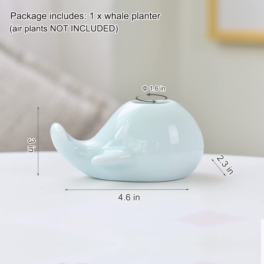 Mimeela Whale Planter Air Plant Holder Unique, Ceramic Animal Succulent Pots Large Air Plants Holders, Cactus Pot Airplant Planter Holder Office Desk Decor (Light Blue Whale)