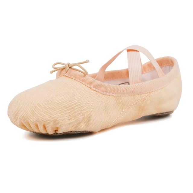 Classic Canvas Ballet Dance Shoes Ballet Slippers for Girls Kids Women (Pink, 39EU)(Size: 6 UK)