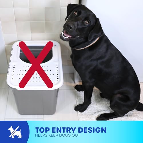 Petmate Enclosed Cat Litter Boxes - Top Entry Cat Litter Box Enclosure with Filter Lid, Made in USA