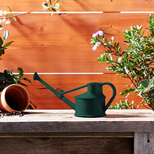 Indoor Plastic Watering Can | The HAWS Langley Sprinkler - One Pint | Pot Waterer | Fine Spray Rose | Green
