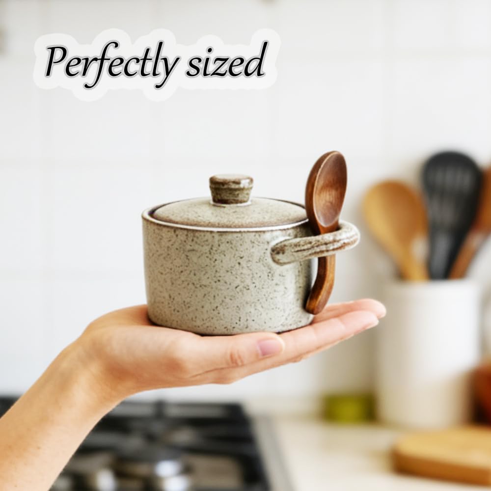 EWEIGEER Ceramic Salt Cellar With Lid & Spoon,8oz Salt Container For Countertop,Sugar Bowl,Spice Jar(Coarse Pottery Color)