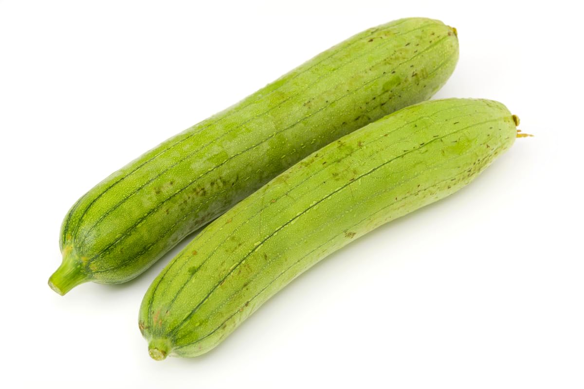 Luffa Gourd Plant, Loofah Plant Live in 4 Inc Pot, 4 Luffa Plants Live, 4 to 7 Inc Tall Seedling, Luffa Live Plant Indoor Outdoor, Ornaments Perennial Garden to Grow