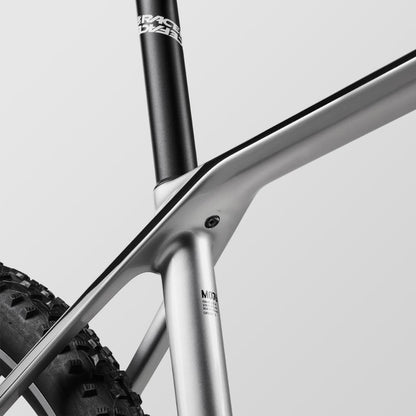 Canyon Exceed CF 5, Real Raw, Small