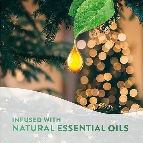 Air Wick Plug in Diffuser Refill, Mulled Wine, Pack 6 x 19ml, Long Lasting Fragrance, Lasts up to 600 Days, Plug in Air freshener