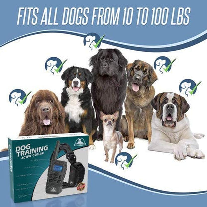 Pet Union PT0Z1 Premium Dog Training Shock Collar, Fully Waterproof, 1200ft Range (Charcoal)