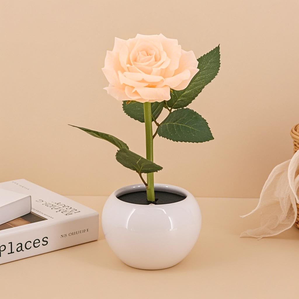Naimo Flower Night Light Rechargeable LED Night Lamp Rose Table Lamp for Bedroom Living Room Birthday Party Desktop Home Decor