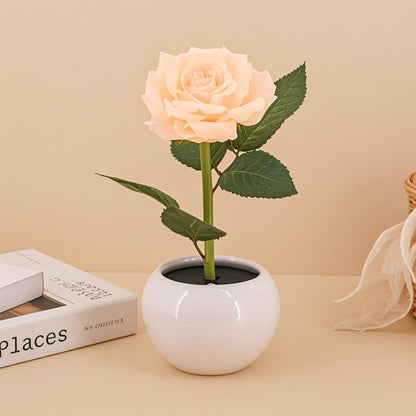 Naimo Flower Night Light Rechargeable LED Night Lamp Rose Table Lamp for Bedroom Living Room Birthday Party Desktop Home Decor