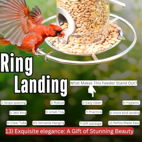 HEAVY DUTY stainless steel metal bird feeder, easy clean garden bird seed feeders hanging, bird feeders for small birds, bird feeders hanging for wild bird, hanging bird feeder for backyard BY PROVIDE