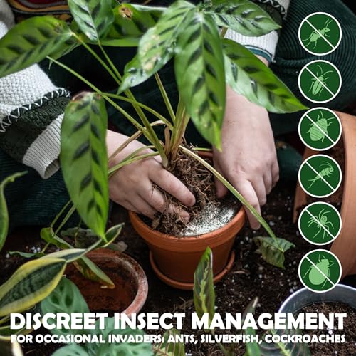 Syngreen Food Grade Diatomaceous Earth 1 lb with Peppermint - Indoor/Outdoor Family-Friendly