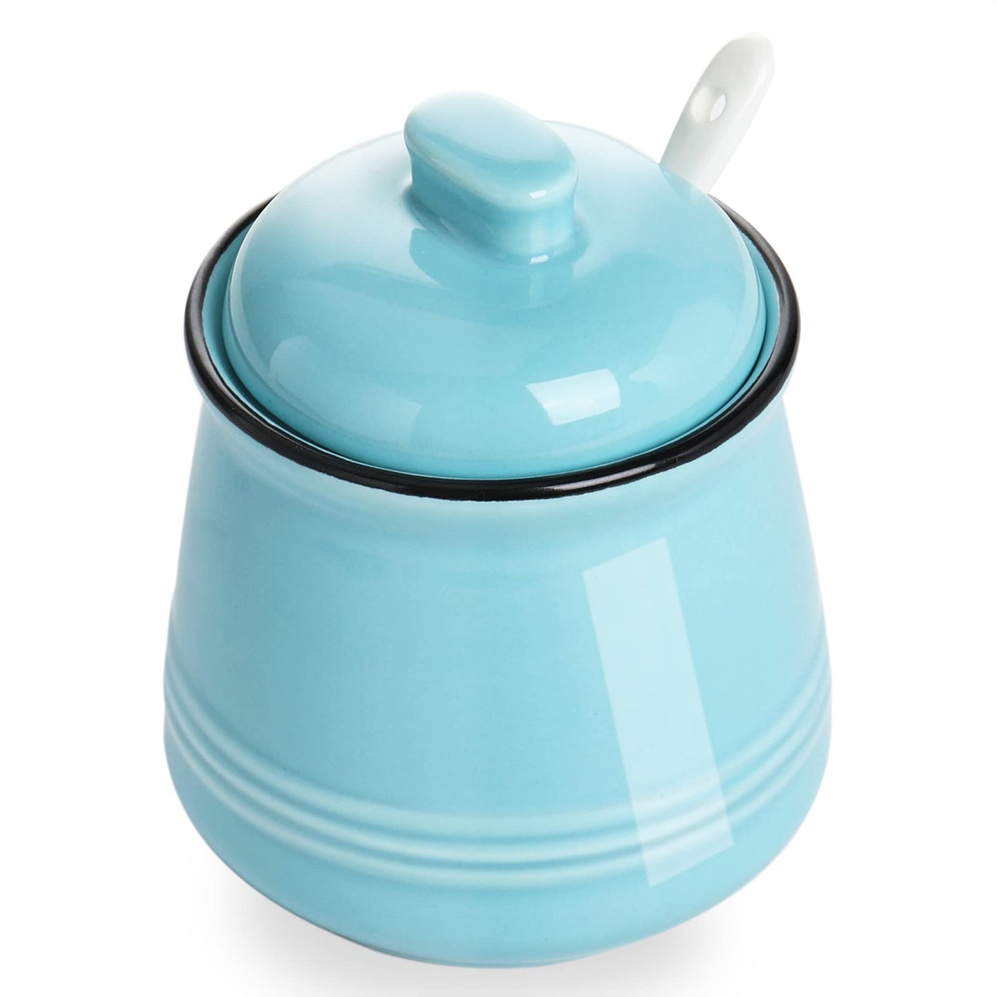 HAOTOP Porcelain Salt Bowl with Lid and Spoon,Ceramic Sugar Bowl 12oz (Turquoise)