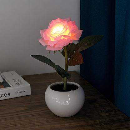Naimo Flower Night Light Rechargeable LED Night Lamp Rose Table Lamp for Bedroom Living Room Birthday Party Desktop Home Decor