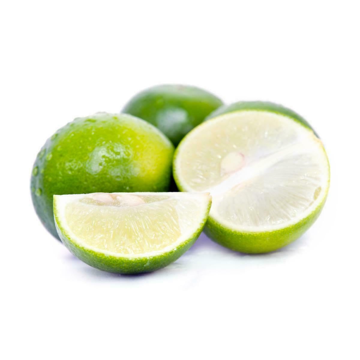 Live Plant - Thornless Mexican Key Lime Tree - Semi-Dwarf - 18-36" Tall - Live Citrus Plant