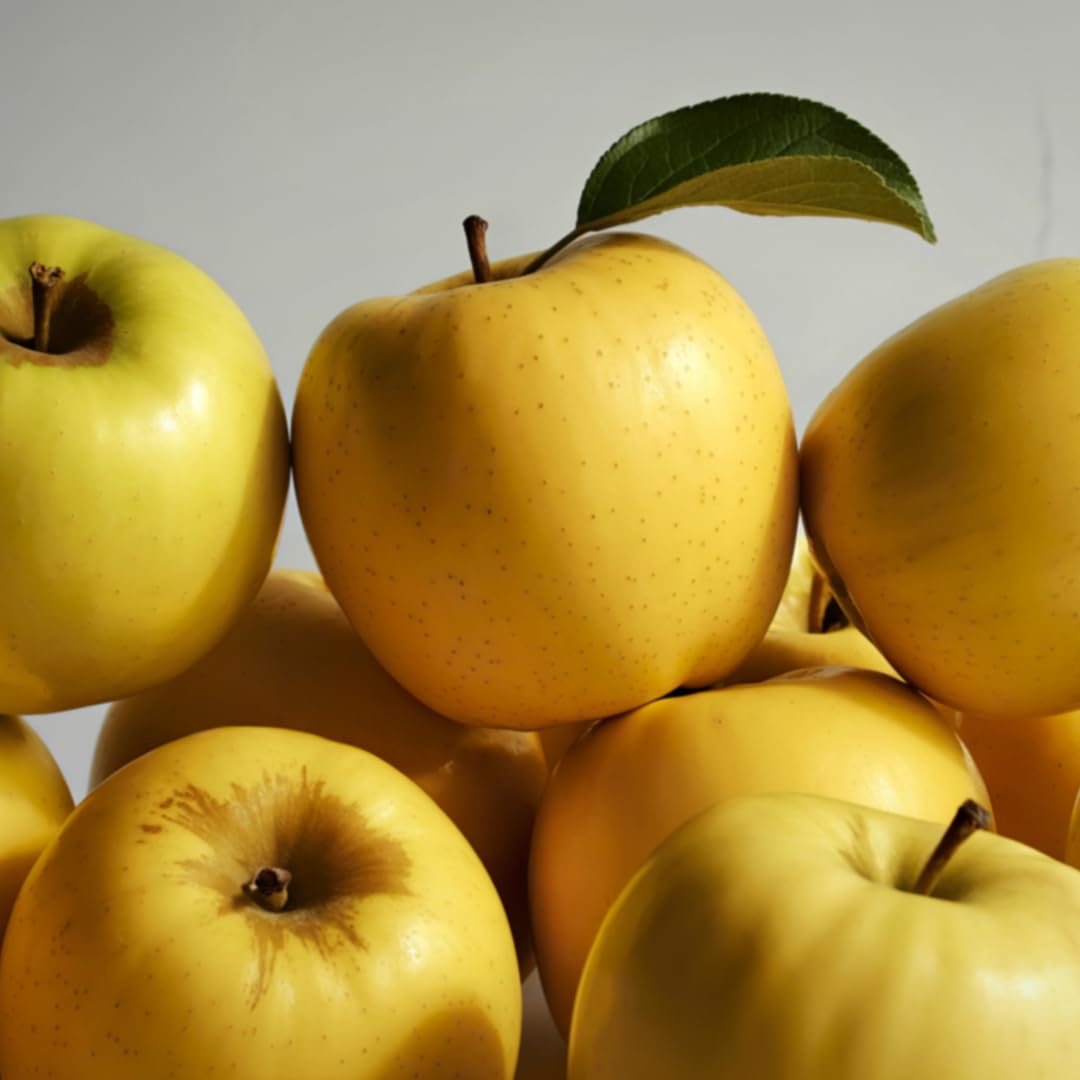 Live Delicious Apple Tree Plant, Sweet Apple Fruit Tree 2-3 Feet Tall in 3 Gallon Pot, Hardy Outdoor Tree, Ready for Planting, No Ship to CA (Yellow Apple)