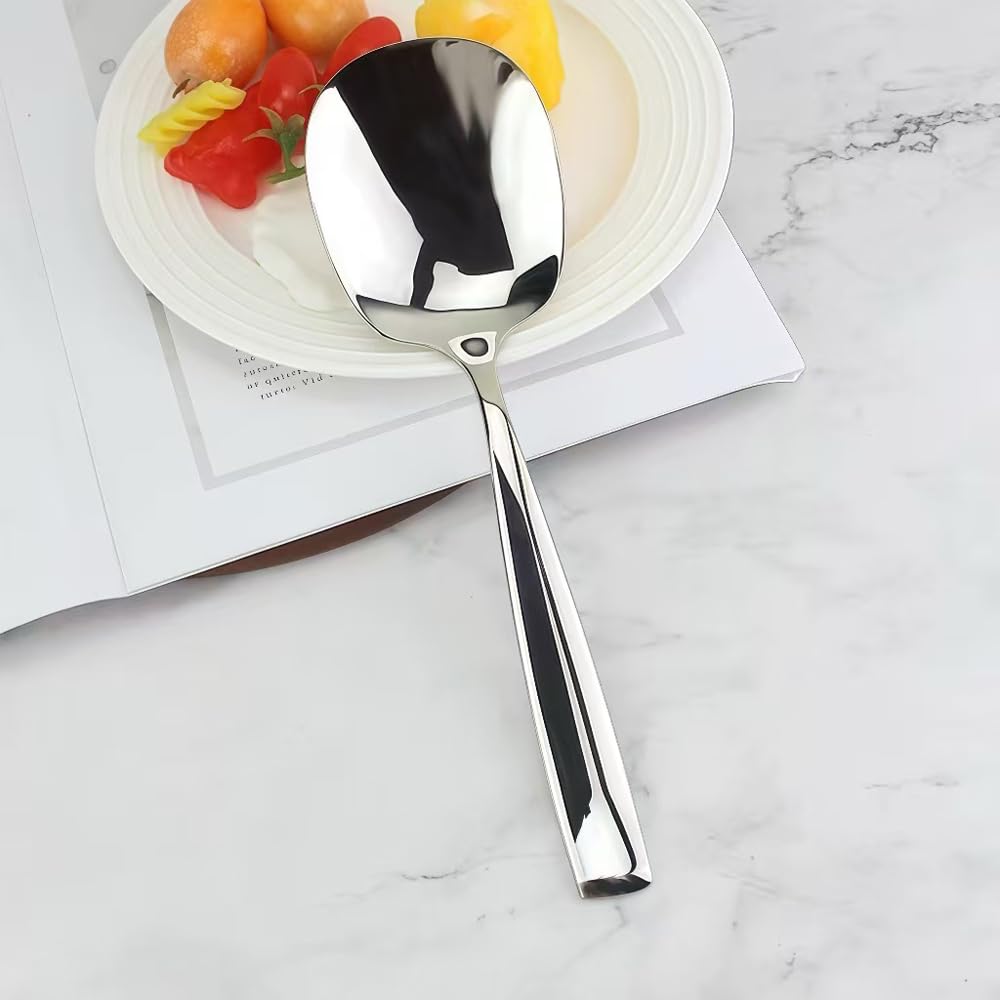 ZDFQly Large Serving Spoon, Premium 316L Stainless Steel Buffet Serving Spoon 9.5 Inch (1pack)