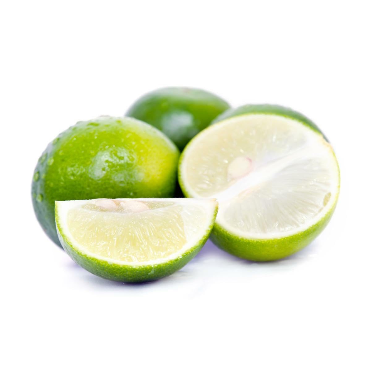 Live Plant - Dwarf Mexican Key Lime Tree - Live Citrus Plant - 26-30" Tall - 1 Gallon Pot