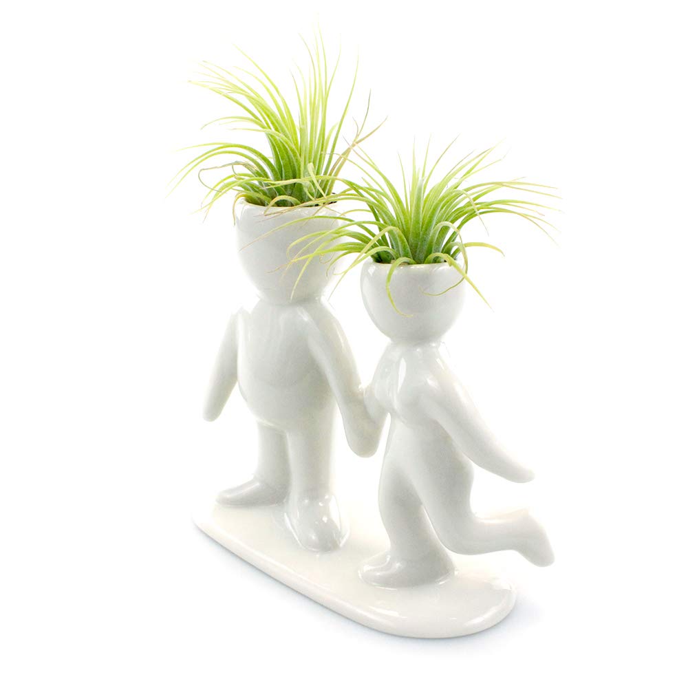 NW Wholesaler 5 Inch White Ceramic Couple Holding Hands People Shaped Planter with Two Live Tillandsia Air Plants - Potted Indoor Air Plants for Home and Office Decor