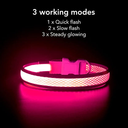 YFbrite Light up Dog Collar, Rechargeable LED Dog Collar, Flashing Dog Collar, Adjustable Reflective Dog Collar Safety Glowing at night (Pink, Medium)