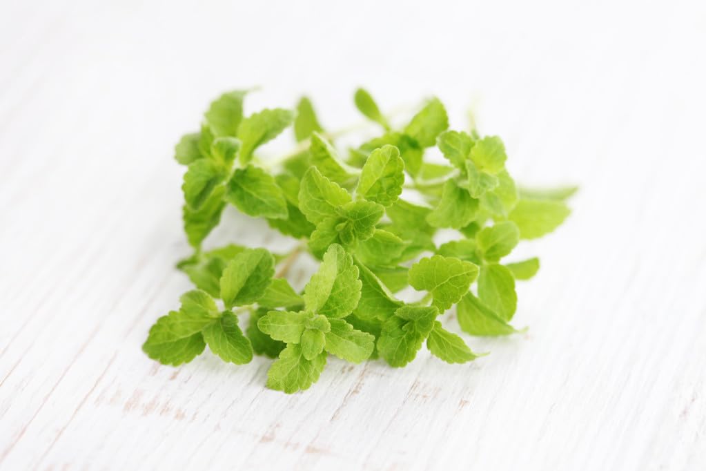 150+ Stevia Sweetleaf Seeds for Planting, Sugar Leaf Stevia Plant Seeds, Natural Sweetener Herb Seeds, Perennial Plant for Home Garden, Container, Tea & Sugar-Free Recipes, Non-GMO