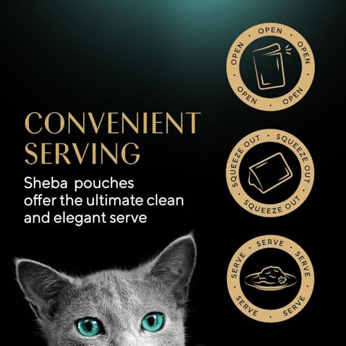 Sheba Fine Flakes in Jelly – Poultry Collection – Wet cat food pouches for adult cats – 40x85g pack