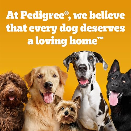 Pedigree Schmackos Dog Treats Meat Variety 110 Stick, Transparent, 790 g (Pack of 1)