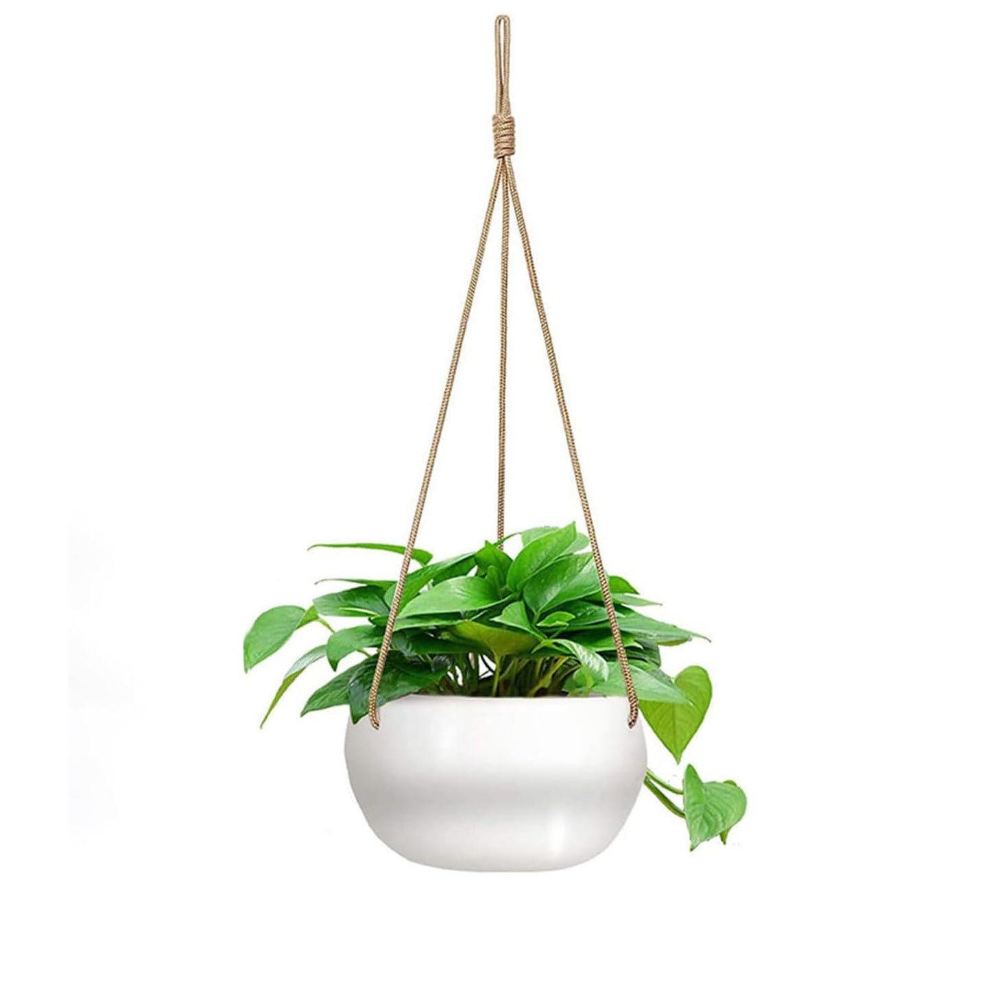 TIGKHAE Ceramic Hanging Planters for Indoor Outdoor Plants,8 in Modern Plant Pot Round Porcelain Hanger Basket with Rope Hanging Plant Holder Drainage Flower Pot for Herbs Ferns Ivy Pothos,White