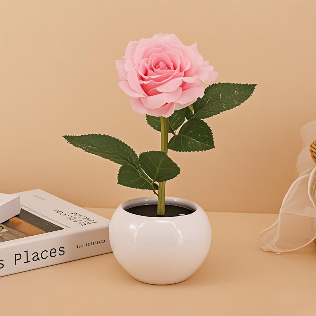 Naimo Flower Night Light Rechargeable LED Night Lamp Rose Table Lamp for Bedroom Living Room Birthday Party Desktop Home Decor