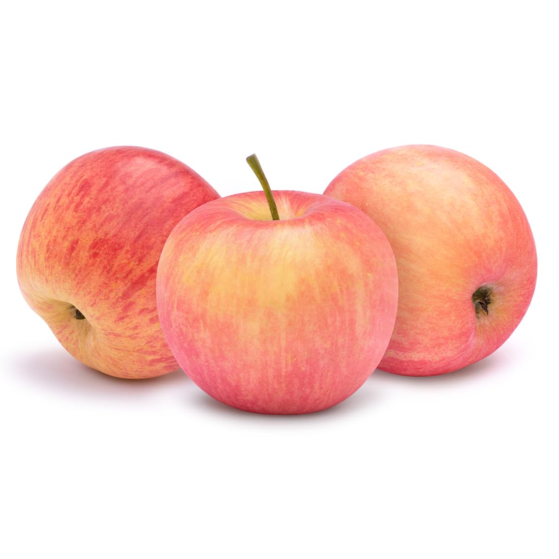 American Plant Exchange Fuji Apple Tree, 1 Gallon Pot, 2-3 ft Tall, Live Outdoor Fruiting Plant, Sweet & Tart Fruit