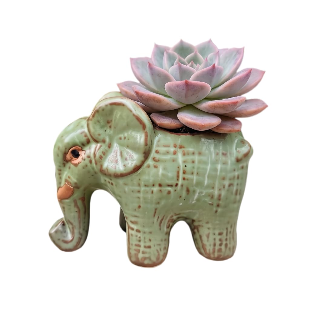 SJBAG Cute Animal Elephant Shaped Ceramic Succulent Cactus Air Plant Flower Pots Planters-Plant Not Included (Small Green)