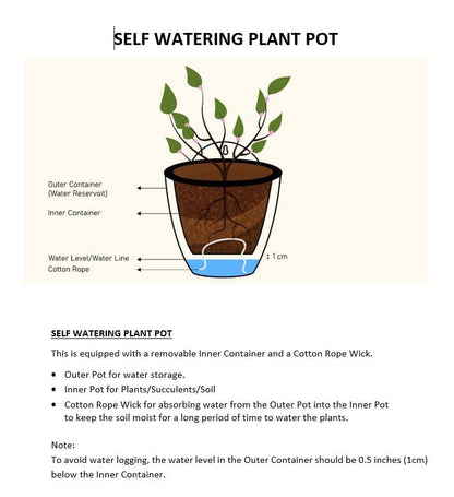 ShoppeWatch Self Watering Wall Planters for Indoor Plants 7 Pack Large 7 Inch with Hooks | Outdoor Railing Planters | Wall Pots for Plants | Wall Hanging Planters | White Wall Mounted Planters PL35