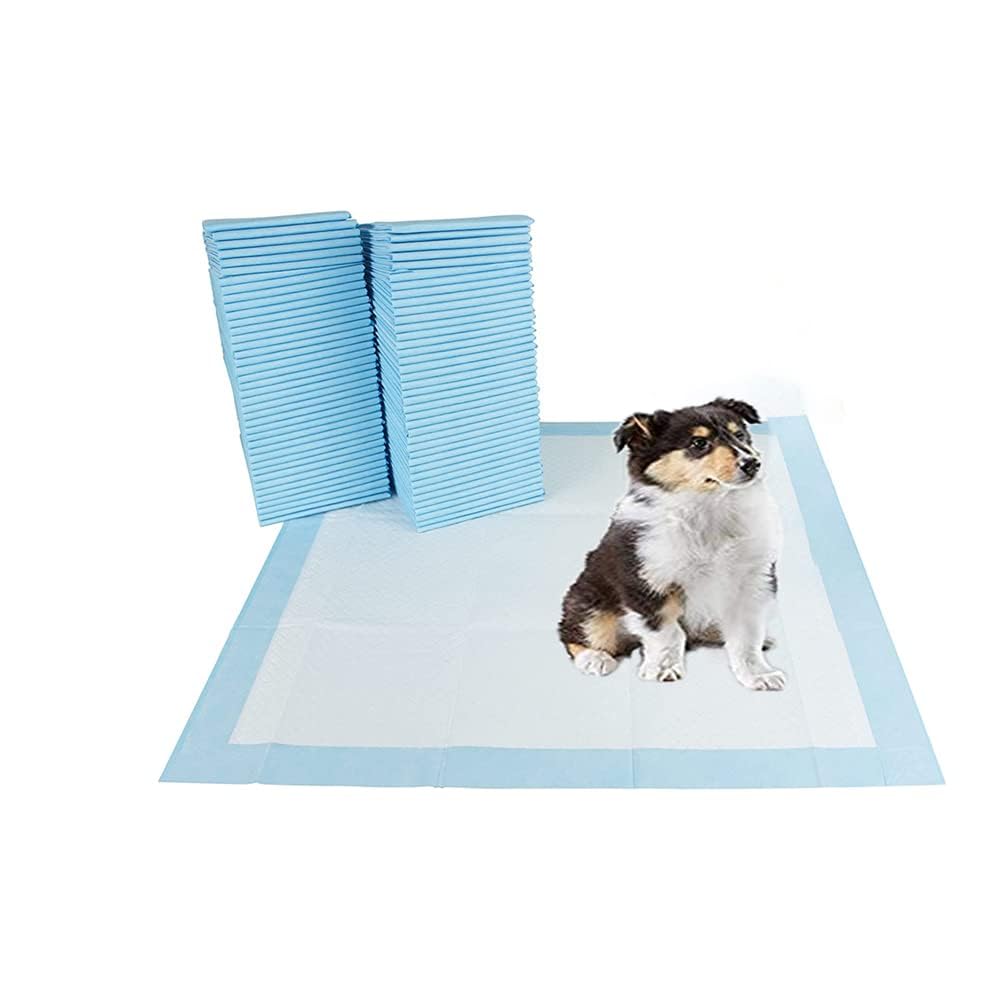 Bargain Factory - Pet Potty Training Pads Pack of 100 for Dogs Puppy Pads - 5 Layers Super-Absorbent Waterproof - 56 x 56 cm - Disposable Puppy Pee Pads