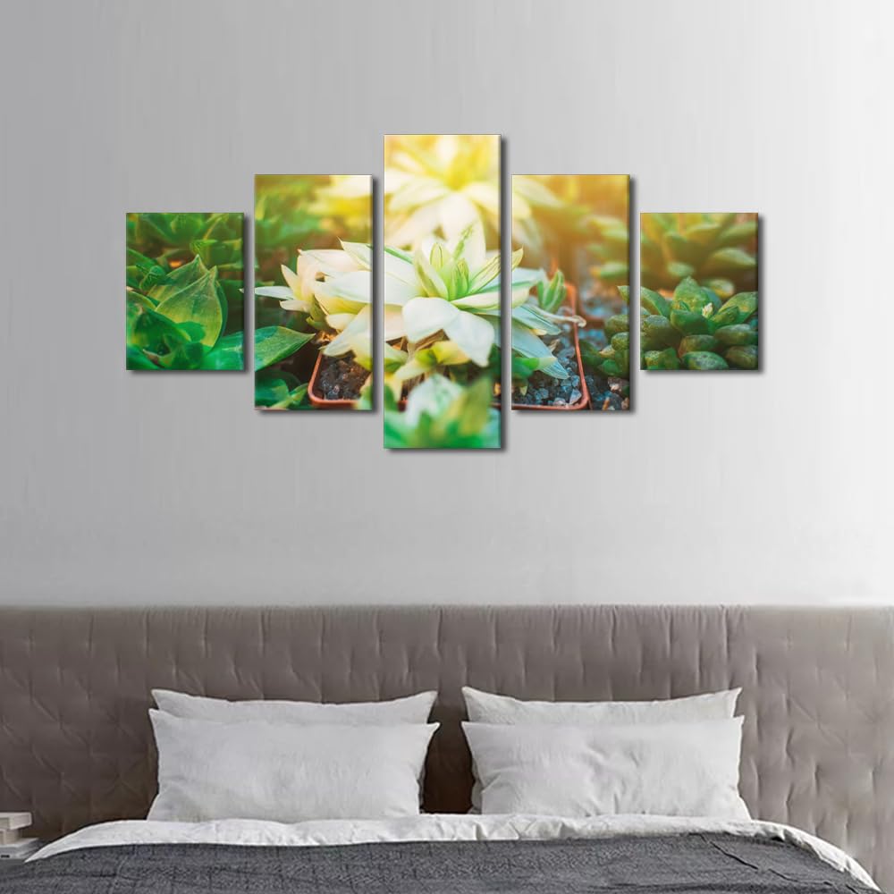 Framed Wall Art 5 Panel Collection of Succulents, Cacti, Echeveria Kalanchoe and Succulent House Plants Poster for Living Room, Wooden Framed Gallery-Wrapped Ready to Hang, 60" Wx32 H