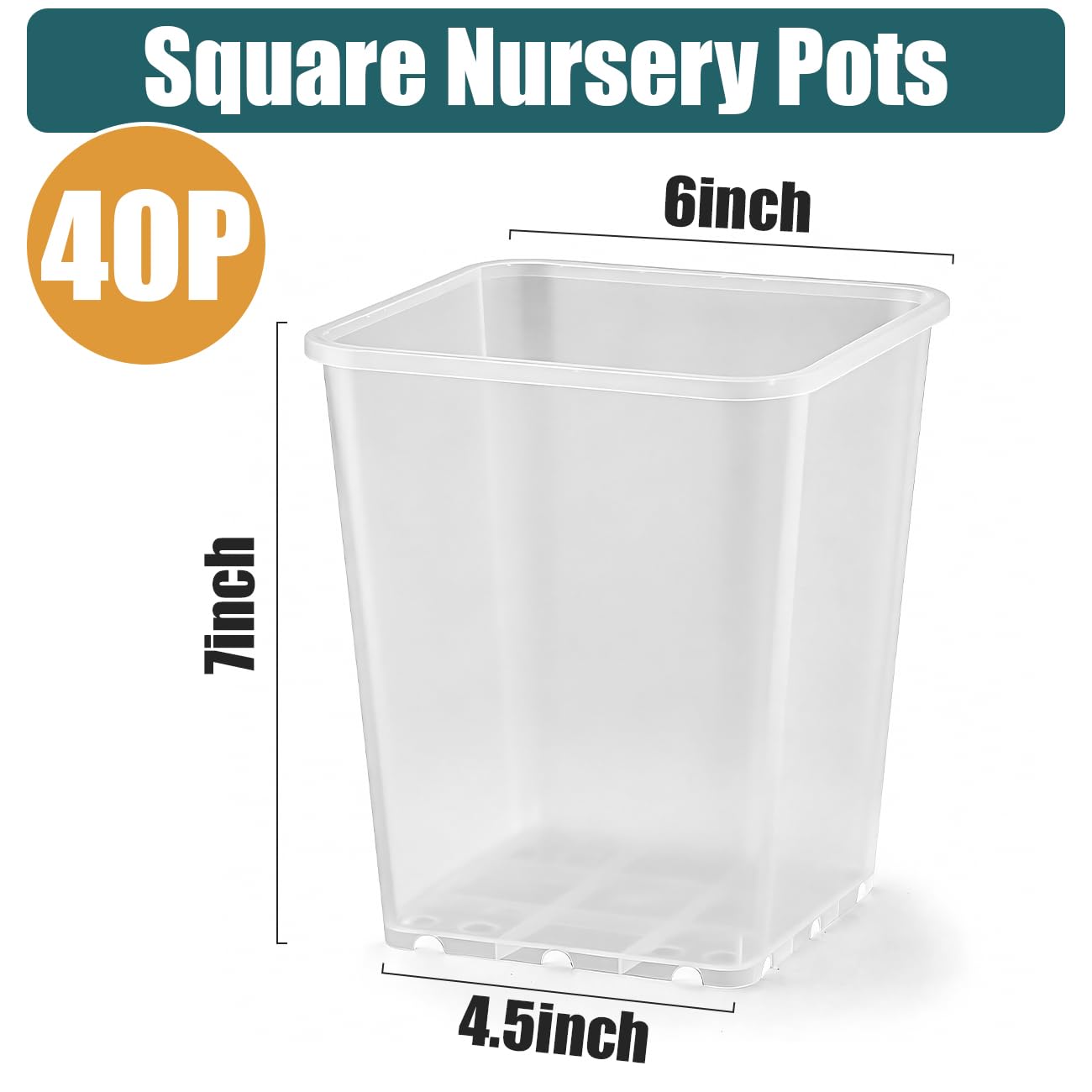 Nursery Pots 6 Inch 40 Pcs, Plastic Seed Starting Pot with Drainage Holes, Sturdy Seedling pots for Planting, Cuttings, Clear