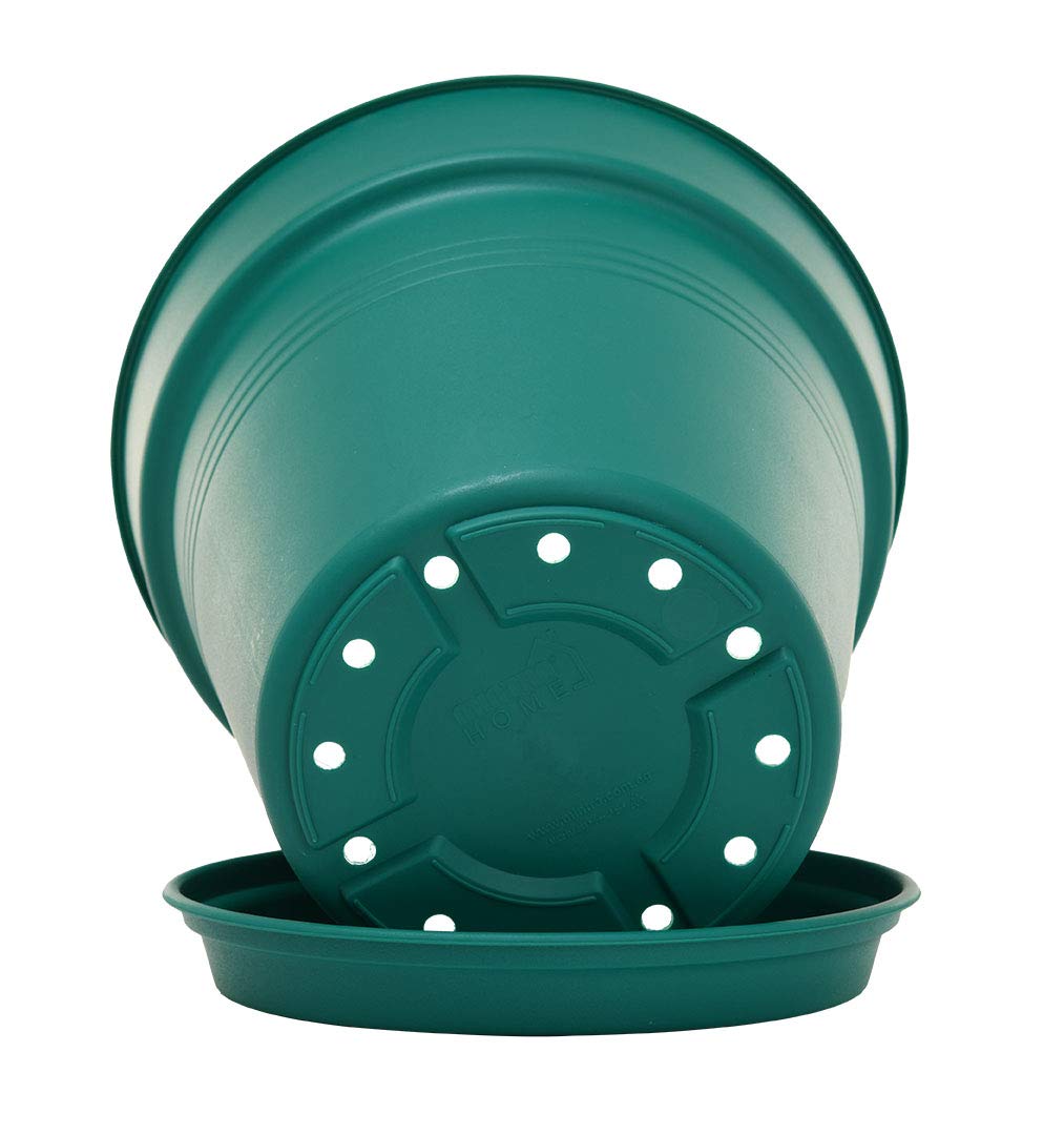 Mintra Garden Pots, 4 Pack Bulk Plastic Plant Pots with Drainage Tray, Round Indoor & Outdoor Decorative Planters with Drain Holes for Flowers, Herbs & Plants, 17cm Diameter – Forest Green, 6.6 in