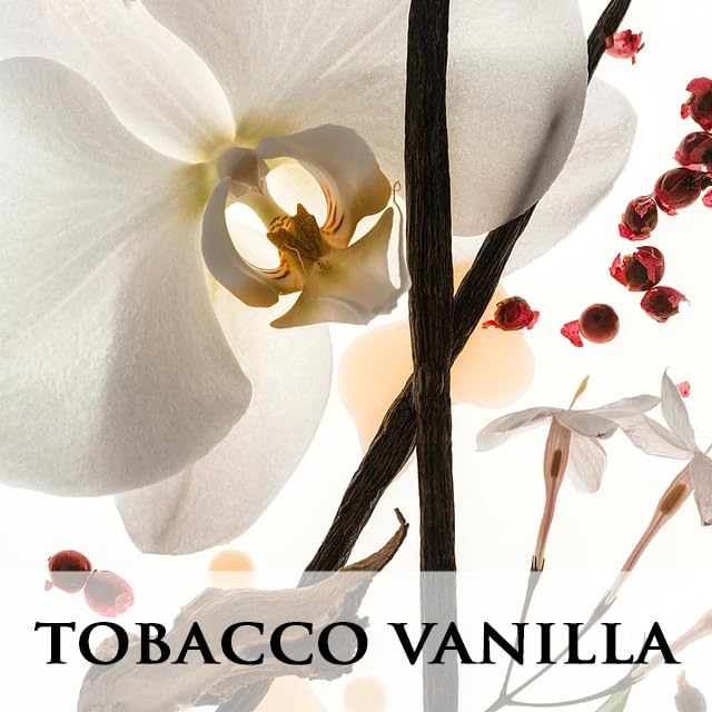 Urban Naturals Tobacco & Vanilla Reed Diffuser Scented Sticks Set | Tobacco Leaf, Bergamot, Vetiver, Bourbon and Vanilla Bean Scented Oils | Decorated with Natural Flowers | Made in The USA