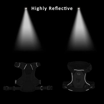 Petmolico No Pull Dog Harness Set with Leash Attachment Easy Control Handle Reflective Harness Vest Small Breed, Puppy Vest and Leash Set with Poop Bag Holder, XS - Purple Peach