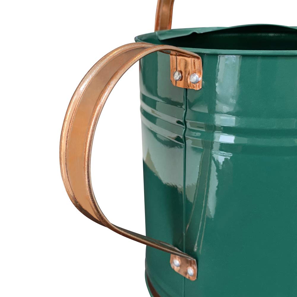 SunnyTong Metal Watering Can for Outdoor and Indoor Plants, Watering Can Decor, 1 Gallon (1 Gallon Green2)