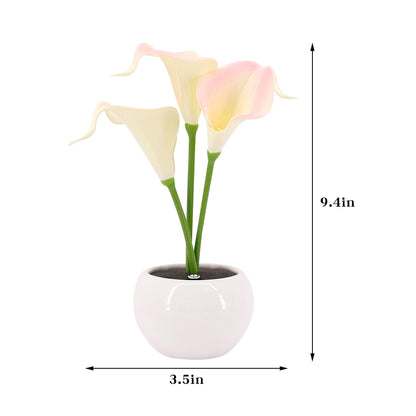 Naimo Flower Night Light Rechargeable LED Night Lamp Calla Lily Table Lamp for Bedroom Living Room Birthday Party Desktop Home Decor