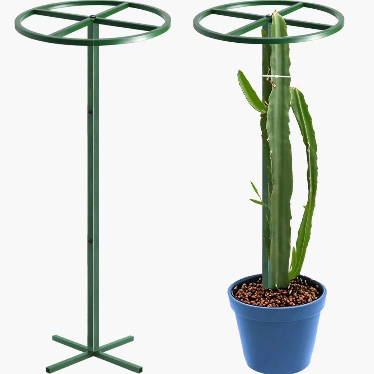 Gavinjitao 62" Round Metal Dragon Fruit Trellis，Adjustable Dragon Fruit Plant Trellis for Vertical Gardening and Climbing Plants Trees Cactus Garden Outdoor Indoor Potted Support Green