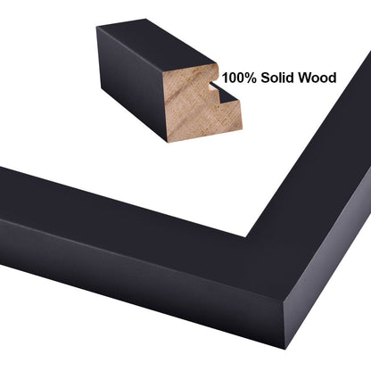 RPJC 11 x 14 Picture Frames Made of Solid Wood and High Definition Glass Display Pictures 8x10 with Mat or 11x14 Without Mat for Wall Mounting Photo Frame Black