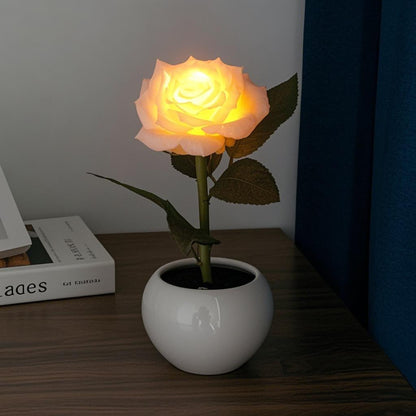 Naimo Flower Night Light Rechargeable LED Night Lamp Rose Table Lamp for Bedroom Living Room Birthday Party Desktop Home Decor