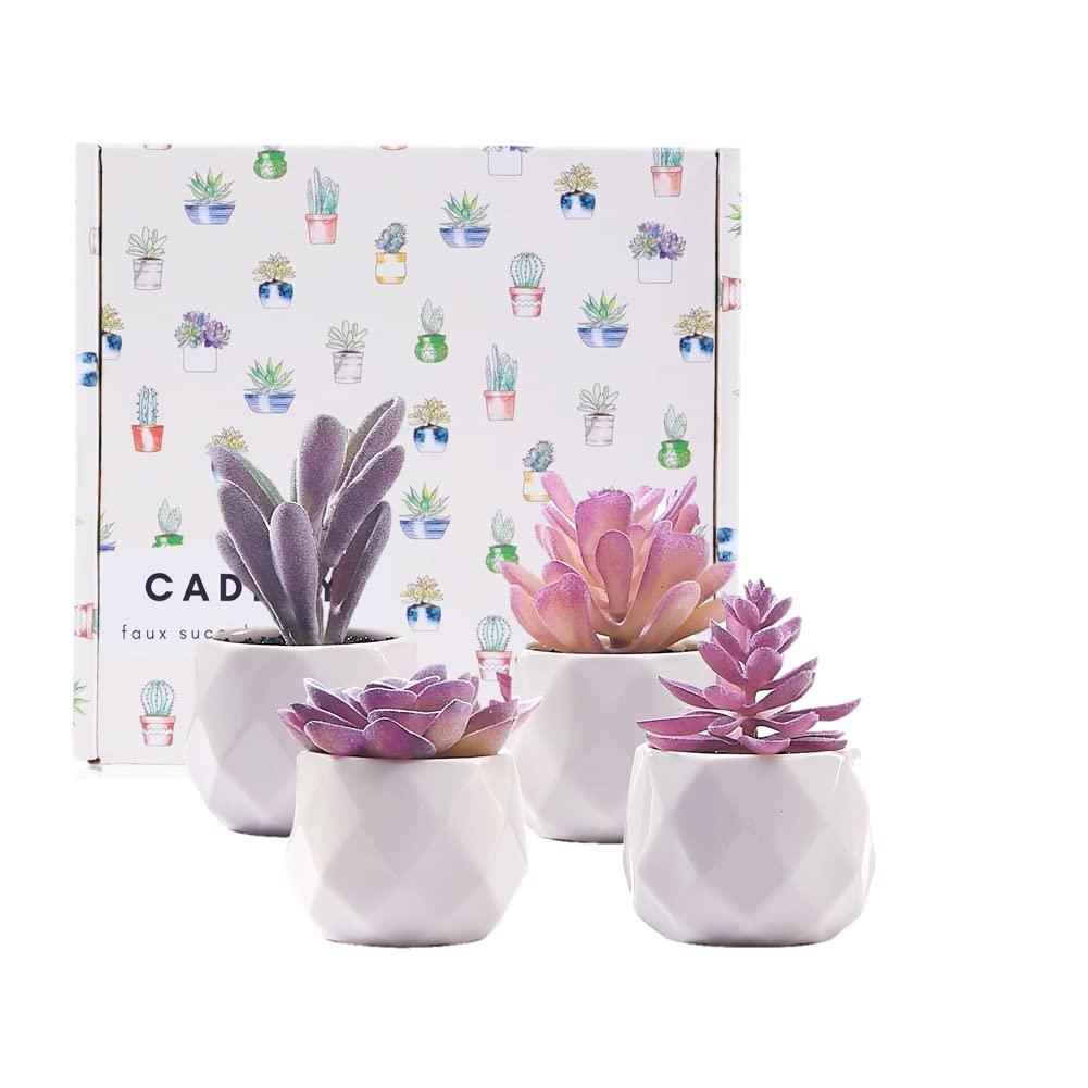 CADNLY Fake Succulent Plant Set - Artificial Desk Plants for Women Desk - Realistic Faux Succulents in Ceramic Pots - Mini Purple Decor for Bedroom Bathroom Office Shelf 4 Pack
