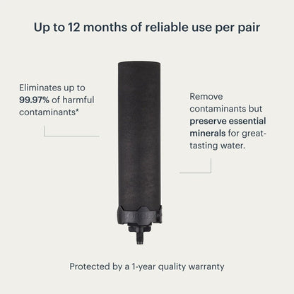 Boroux Foundation Black Replacement Water Filter - Replacement For Berkey BB9-2 and Gravity-Fed Water Filter Systems