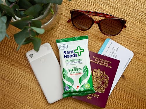 Sani Hands - Anti-bacterial Hand Wipes - Dermatologically Tested, Biodegradable Wet Wipes - 10x12 Wipes (120 Wipes)