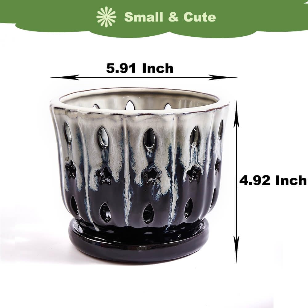 NiSevenLiving Orchid Pots with Holes Attached Saucers 6 Inches - 1 Pcs Small Ceramic Pots for Repotting, Decorative Ceramic Orchid Planter with Hole for Healthy Root Growth White Over Black